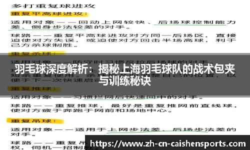羽毛球深度解析：揭秘上海羽毛球队的战术包夹与训练秘诀